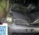 От удара об дерево машину в Углегорском районе согнуло пополам,  пострадал водитель