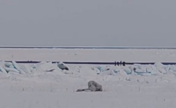 Почти 20 рыбаков уносит на льдине у побережья Сахалина