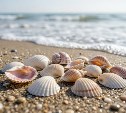 На Сахалине дожди, а на Курилах переменная облачность: прогноз погоды для региона на 4 июля