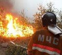 Пожар в Холмске начался с возгорания сухого бамбука: его тушили 28 человек