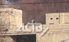Общество
