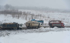 Общество