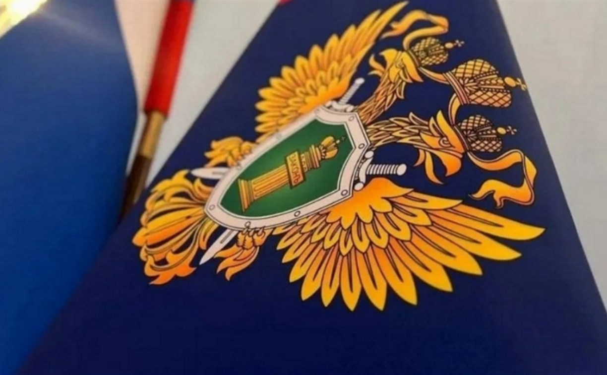 Прокуратура заинтересовалась медленной уборкой снега в Углегорском районе