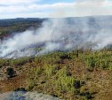 Сборщики брусники на Сахалине стали причиной лесного пожара у объекта "Газпрома"