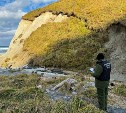Гиду на Курилах вынесли приговор по делу о нападении медведя на туриста