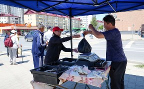 Общество