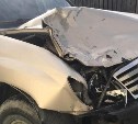 Лошадь выскочила на дорогу и разбила автомобиль на юге Сахалина