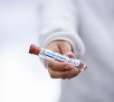 На Сахалине за сутки выявили 66 новых случаев заражение коронавирусом