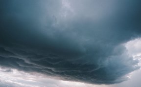 Общество