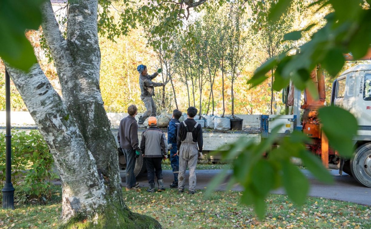 В Южно-Сахалинске этой осенью появится более 5000 новых насаждений