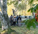 В Южно-Сахалинске этой осенью появится более 5000 новых насаждений