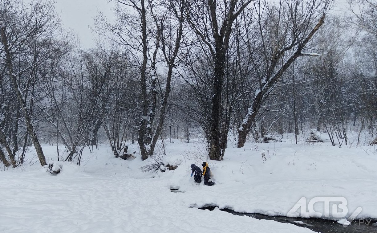 Воздух прогреется на юге Сахалина до +1 градуса