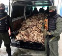 Почти 500 незаконно добытых крабов изъяли у трех молодых сахалинцев 