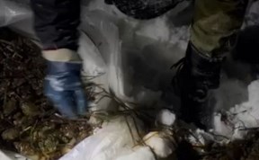 Происшествия