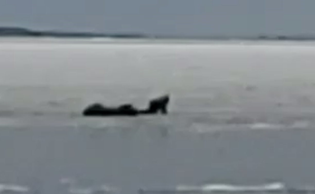 Сахалинец снял на видео, как рыбак провалился под лёд на Большом Буссе