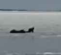 Сахалинец снял на видео, как рыбак провалился под лёд на Большом Буссе