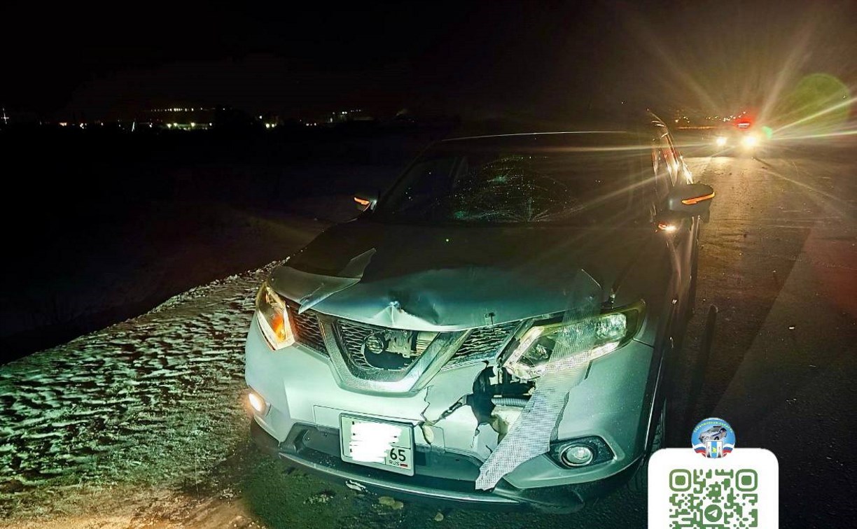 В Южно-Сахалинске ночью автомобиль сбил на дороге 32-летнего мужчину