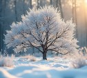 Гороскоп на 22 февраля: Овен скучает, а Стрелец размышляет