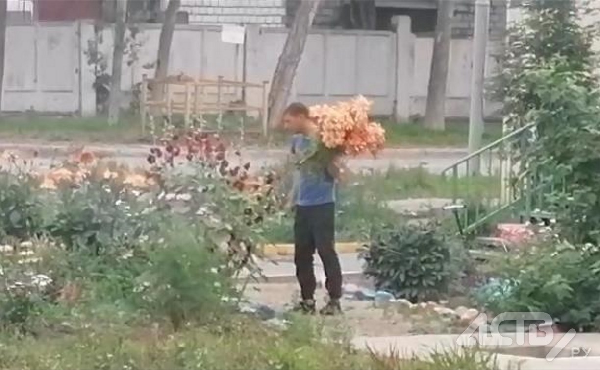 "Романтики достали!": сахалинец нарвал огромную охапку цветов в чужом палисаднике