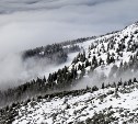 Дождь со снегом и туман: что ждёт Сахалинскую область в пятницу, 25 марта