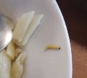 Ученице в школе Поронайска на обед вместе с макаронами подали червяка