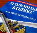 В Южно-Сахалинске женщина украла продуктов на 7 тысяч рублей — завели уголовное дело