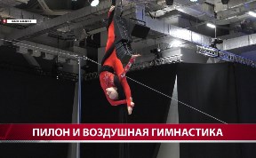 Спорт