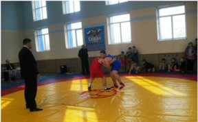 Спорт