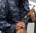 У сахалинцев изъяли 26 единиц огнестрельного оружия