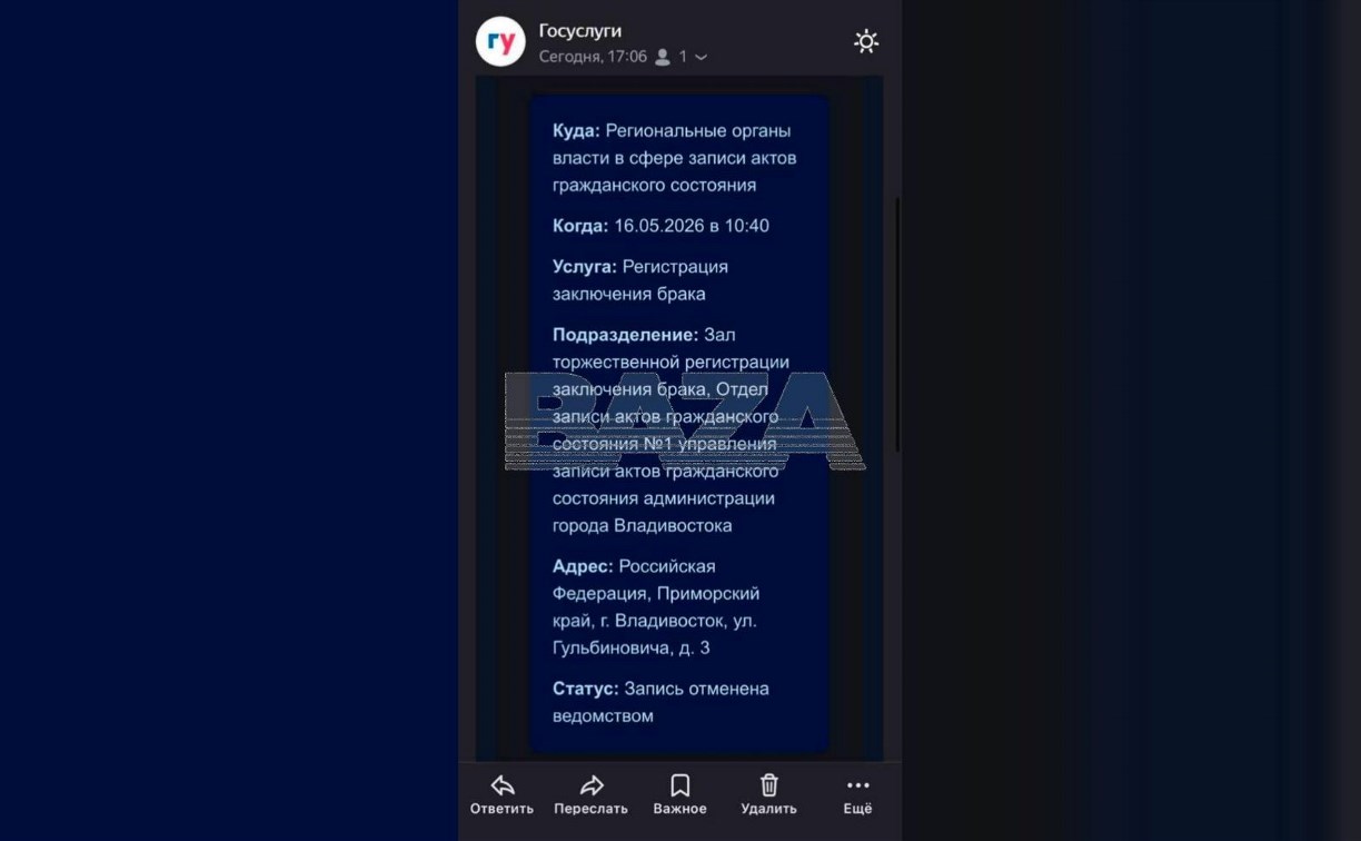 Невестам начали присылать опасные фейковые письма