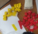 Продавцов наркомагазина на Сахалине поймали с поличным и посадили под домашний арест