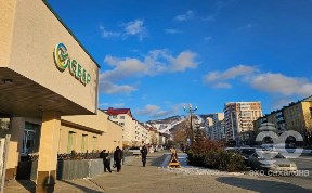 Общество