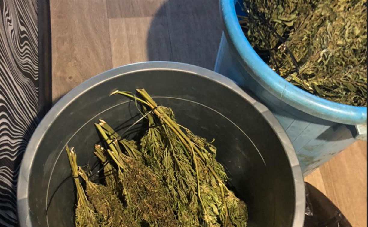 О семена, приправы: в Холмске у 45-летнего местного жителя изъяли более килограмма марихуаны