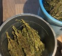 О семена, приправы: в Холмске у 45-летнего местного жителя изъяли более килограмма марихуаны