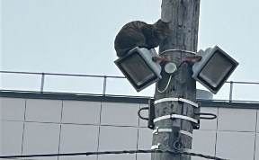 Происшествия