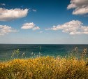До +25 °C прогреется воздух на Сахалине в пятницу: прогноз на 13 июня