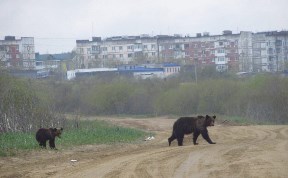 Происшествия