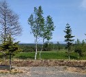 Компания "Про Землю" запускает продажи участков в "Гольф Вилладж"