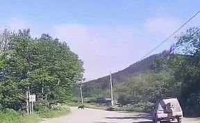 Общество