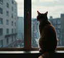 Массовые отключения света пройдут на Сахалине 12 июля