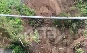 Общество