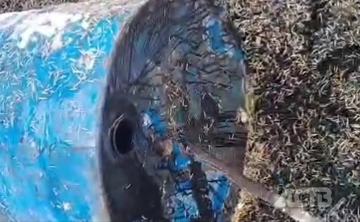 "А ямы так и не отремонтировали": гору свежего асфальта и бочку битума выбросили у села Леонидово 