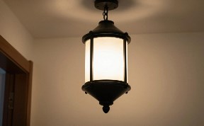 Общество