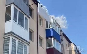 Общество