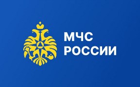 Происшествия