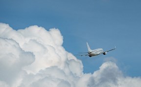 Общество