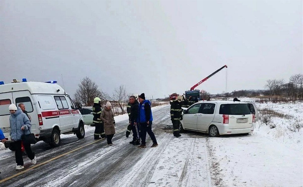 В Анивском районе в массовом ДТП пострадали два человека: подробности