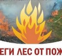 Высокая пожарная опасность прогнозируется в семи районах Сахалинской области