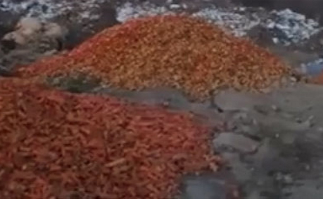 В полях за совхозом «Тепличный» сахалинцы обнаружили овощную свалку