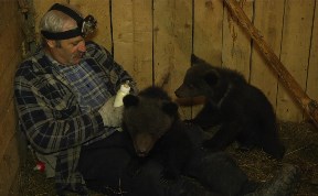 Общество